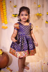 IMD - Smriti Navy Brocade with Paithini Border Mini