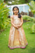 Tanisha Peach with Gold Lehenga Mini (Set of 2)