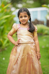 Tanisha Peach with Gold Lehenga Mini (Set of 2)