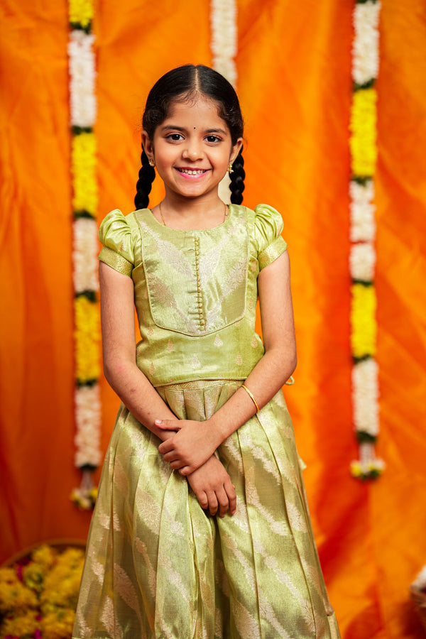 Aalaya Green organza lehenga mini