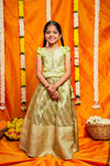 Aalaya Green organza lehenga mini