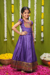 Hamsini Violet lehenga mini