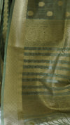 Olive Green Organza Tissue Saree with Blouse