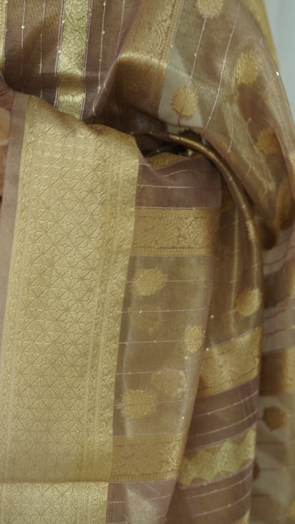 Beige Organza Tissue Saree with Blouse