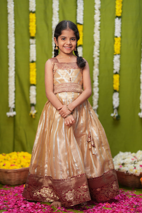 Pavitra Beige Organza Top & Skirt Mini