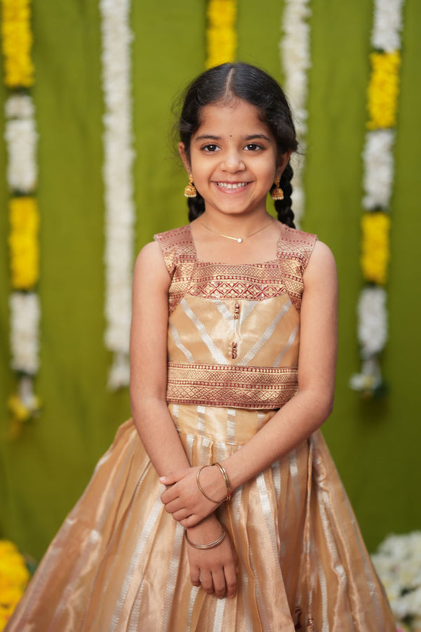 Pavitra Beige Organza Top & Skirt Mini