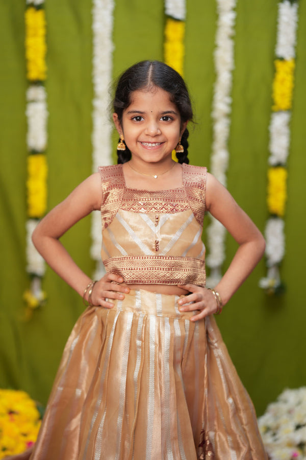 Pavitra Beige Organza Top & Skirt Mini