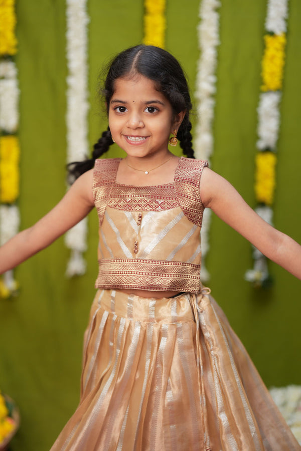 Pavitra Beige Organza Top & Skirt Mini