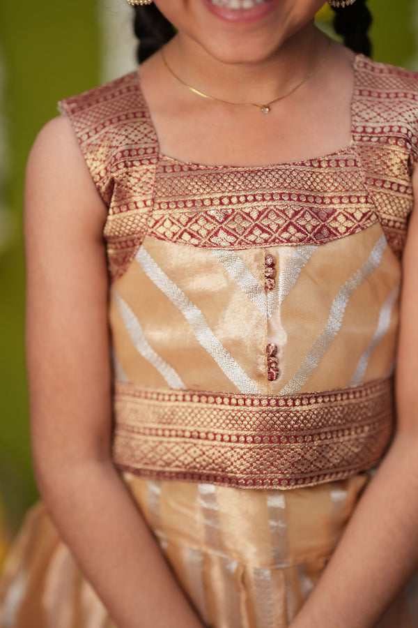 Pavitra Beige Organza Top & Skirt Mini