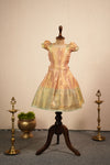 Mayuri Golden Beige Lehenga Mini (Set of 2 )