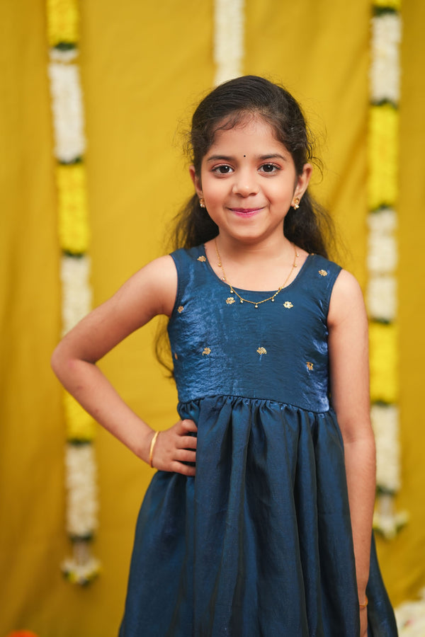 Mrinalini Blue Frock Mini