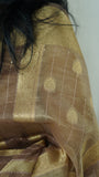 Beige Organza Tissue Saree with Blouse