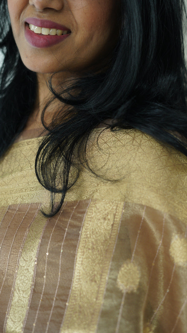 Beige Organza Tissue Saree with Blouse