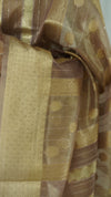 Beige Organza Tissue Saree with Blouse