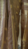 Beige Organza Tissue Saree with Blouse