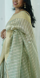 Pastel Green Organza Tissue Saree with Blouse