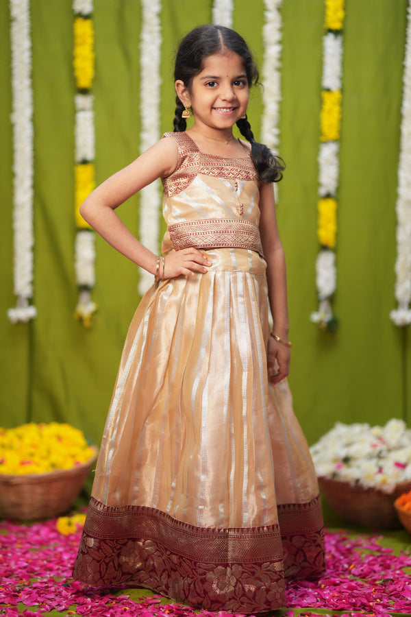 Pavitra Beige Organza Top & Skirt Mini