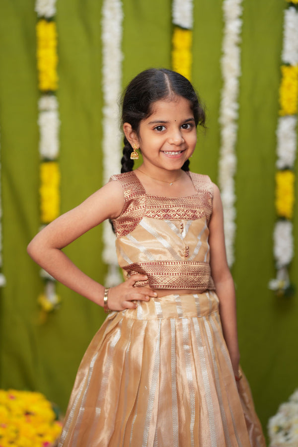 Pavitra Beige Organza Top & Skirt Mini