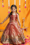 Gargi Peach Lehenga Mini (Set of 2)