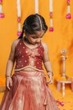 Gargi Peach Lehenga Mini (Set of 2)