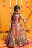 Gargi Peach Lehenga Mini (Set of 2)