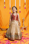Gargi Gold Lehenga Mini (Set of 2)
