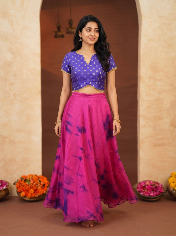Mira Pink Organza Croptop and Skirt (Set of 2)