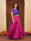 Mira Pink Organza Croptop and Skirt (Set of 2)