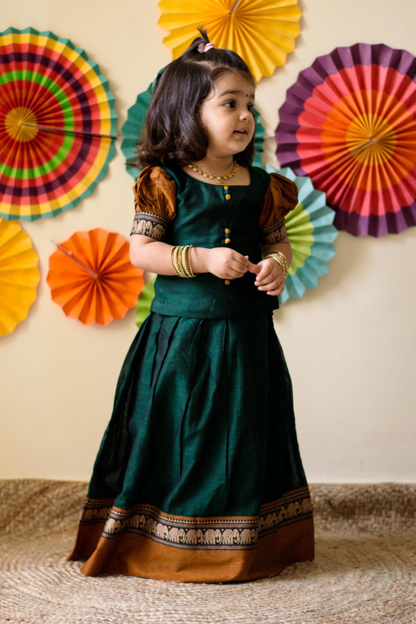 Nilambari Green Mini