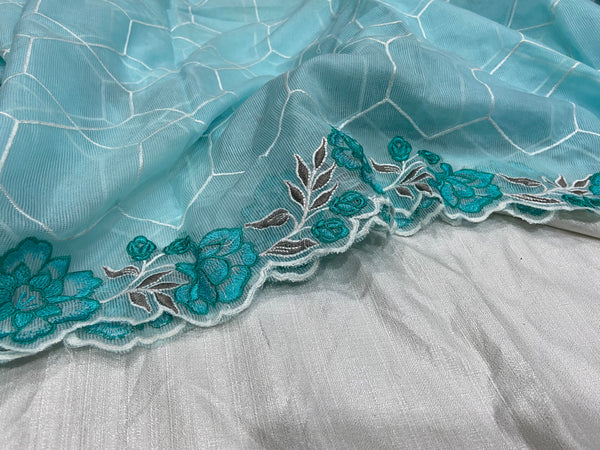 Pastel Blue Embroidered Dupatta paired with white top